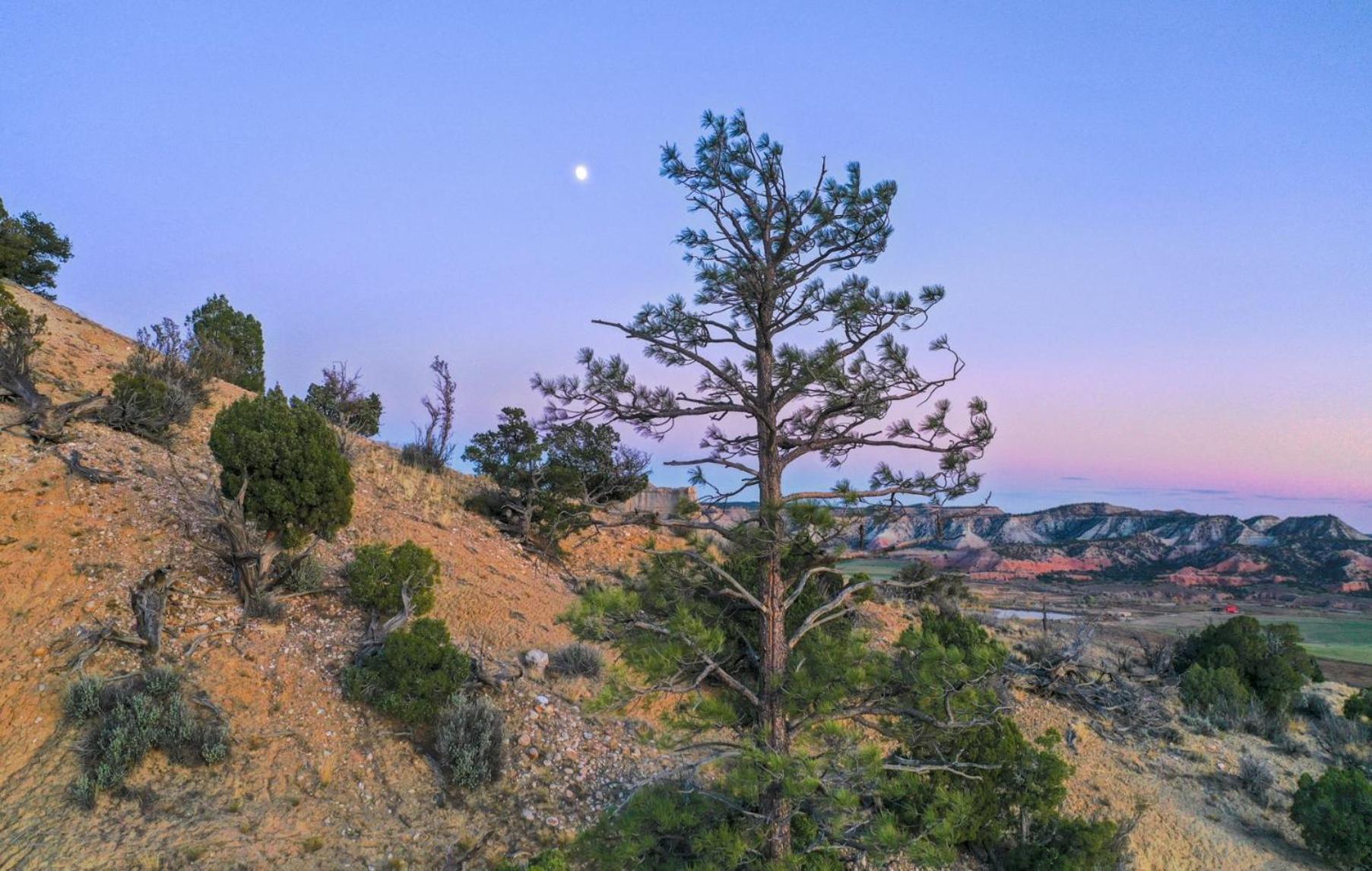 Clear Sky Resorts - Bryce Canyon - Unique Stargazing Domes 卡农维尔 外观 照片
